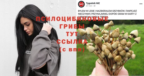 марихуана Верхний Тагил